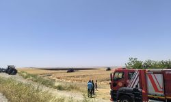 Diyarbakır Kocaköy’de korkutan yangın 1500 dönüm ekin kül oldu!