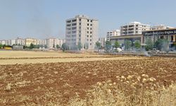 Diyarbakır Bağlar’da anız yangını korkuttu