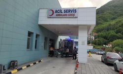 Akrebin soktuğu kadın hastanelik oldu