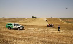 Diyarbakır'da anız yangınlarına karşı mücadele ekibi