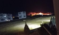 Diyarbakır'da anız yangını kontrol altına alındı
