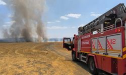 Diyarbakır'da anız yangınlarına karşı uyarı