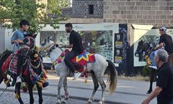 Diyarbakır’da atlı turizm bitti!