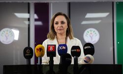 DEM Parti'den çözüm süreci mesajı