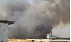 Şanlıurfa’da 100 dönüm buğday kül oldu