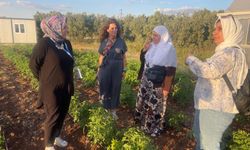 Mardin'de “Ekolojik Tarım” projesi