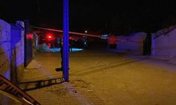 Kayınbiraderini öldürdü