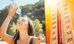 Hava sıcaklıkları normallerin üzerine çıkıyor