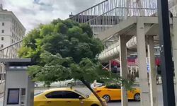 Elazığ'da fırtına etkili oldu