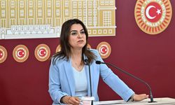 DEM Parti'li Koçyiğit: Tüm siyasi partiler Öcalan’la doğrudan görüşmeli