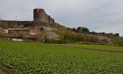 DİTAM’dan UNESCO Dünya Mirası Alanı için yol haritası arayışı