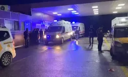 Diyarbakır’da kardeşi tarafından tabancayla öldürüldü