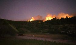 İzmir'de ormanlık alanda yangın çıktı