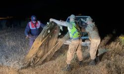 1,5 ton inci kefali ele geçirildi