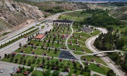 Sivas'ta mesire alanları, kene kabusu nedeniyle boş kaldı