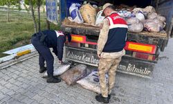 Van Gölü’nde tonlarca kaçak balık ele geçirildi