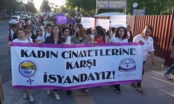 Kadın cinayetlerine karşı Diyarbakır’da ortak ses