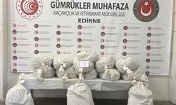 Kapıkule'de uyuşturucu operasyonu