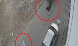 Diyarbakır'da kesimden kaçan keçi damdan düştü