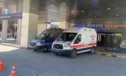 Süt sağan kadını kene ısırdı