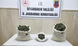 Diyarbakır’da üç mahallede eş zamanlı operasyon