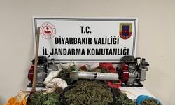 Diyarbakır’da damlama sistemiyle kenevir üretimine suçüstü