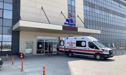 Üzerine kurban devrilen kadın ağır yaralandı