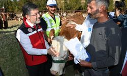 Kurban Bayramı'nda 3 milyon 330 bin hayvan kesildi