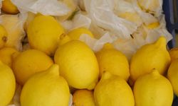 Fiyat artışında limon zirvede