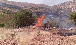 Mardin’de çıkan anız ve orman yangınları söndürüldü