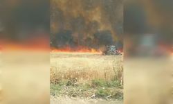 Mardin'de bin dönüm buğday küle döndü
