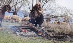 Doluya yakalanan oğlağı ateş yakarak ısıttı