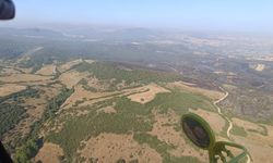 Kepsut'taki orman yangınları kontrol altında
