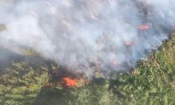 Antalya'da iki bölgede orman yangını