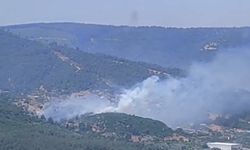 İzmir'de orman yangını