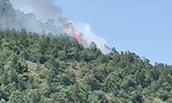 Ankara'da orman yangını