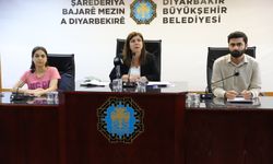 Diyarbakır'da Eş Başkan Bucak'tan ruhsat uyarısı