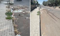 Yayınımız ses getirdi, Çöpler toplandı, vatandaş teşekkür etti