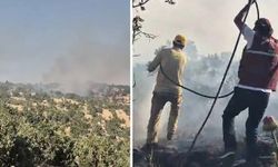 Siirt'te örtü yangını