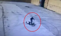 Diyarbakır’da köpeğin saldırdığı işçiyi arkadaşı kurtardı