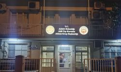 Pikap sulama kanalına devrildi: Baba ve iki kızı öldü