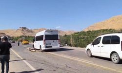 Minibüs koyunları telef etti