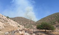 Mardin'de korkutan orman yangını