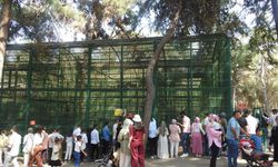 Gaziantep Doğal Yaşam Parkı’na ziyaretçi akını