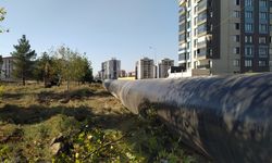 Diyarbakır TOKİ’de ağaç katliamı iddiası