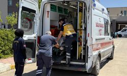 Kontrolden çıkan otomobil tarlaya yuvarlandı