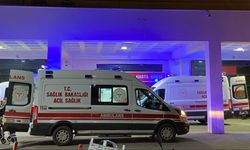 Otomobil ineğe çarptı, 1 kişi yaralandı