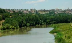 Diyarbakır Barosu’nda Dicle Nehri uyarısı: Ranta kurban ediliyor