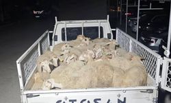 Önce pazarlık yaptılar sonra hayvanları çaldılar