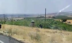 Bedava sandılar karpuz tarlasını talan ettiler
